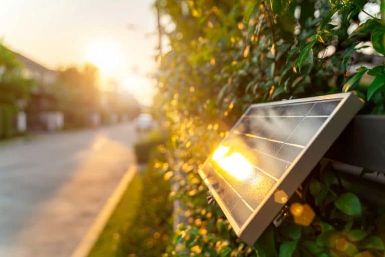 Pomysł na oświetlenie ogrodu – lampa solarna